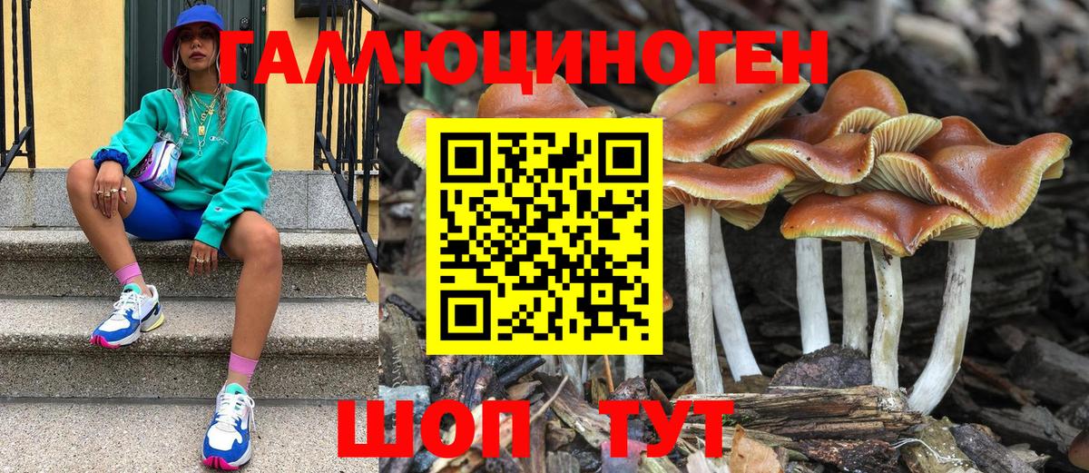 Галлюциногенные грибы Magic Shrooms Рославль
